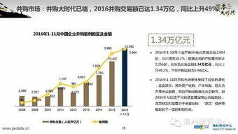 2016年中國股權(quán)投資市場回顧與展望 融資咨詢服務(wù)的機遇與挑戰(zhàn)